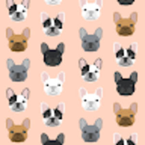 Meet your Posher, {peyton miller}